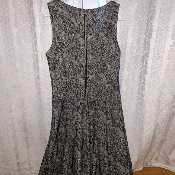 The Limited Black & Cream A Lined Dress Lace - Picture 3 of 4